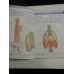 ANATOMY  FOR  STUDENTS * GRAY'S  -  Richard L. Drake * A. Wayne Vogl * Adam W. M. Mitchell 